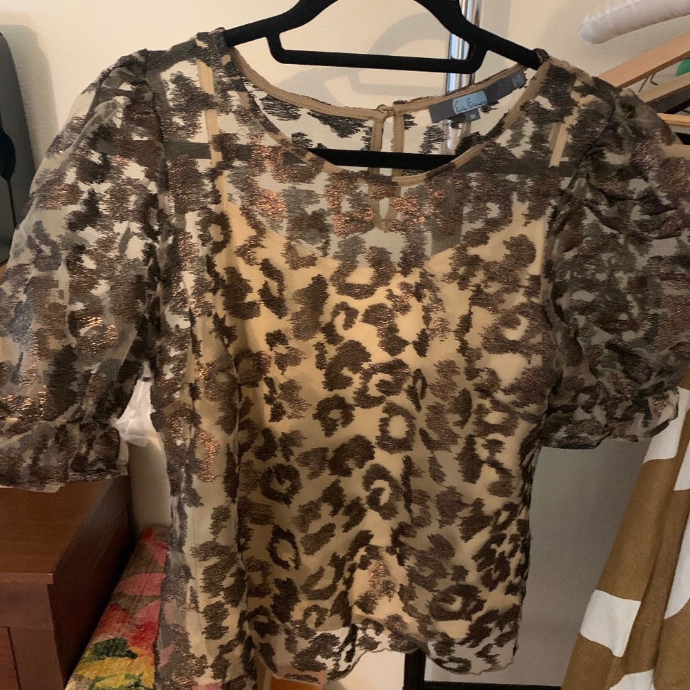 Eva Franco sheer metallic leopard print top (from Anthropologie)
